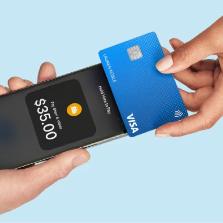 Male employer gesticulating and explaining idea in light office